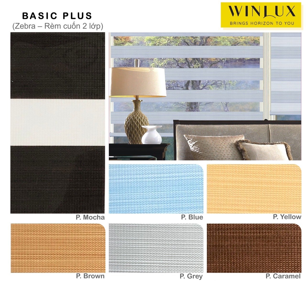 basic-plus-zebra-rem-cuon-2-lop basic-plus-zebra-rem-cuon-2-lop